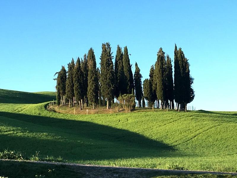 Finestra Sulla Val D'Orcia Leilighet San Quirico dʼOrcia Eksteriør bilde